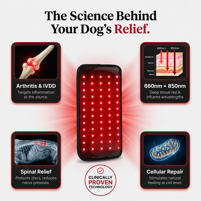 RedPaw Red Light Pad