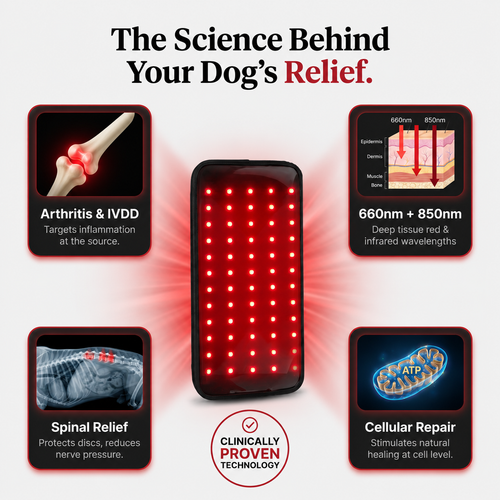 RedPaw Red Light Pad