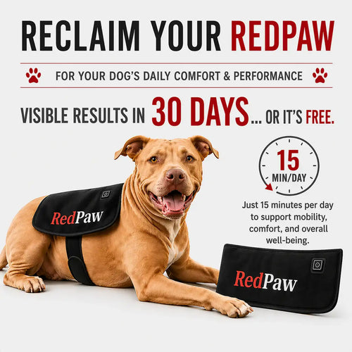 RedPaw Therapy Pad