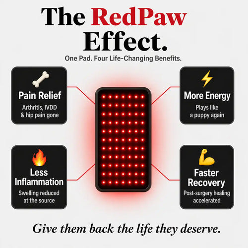 RedPaw Therapy Pad