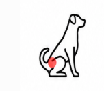 HIP DYSPLASIA