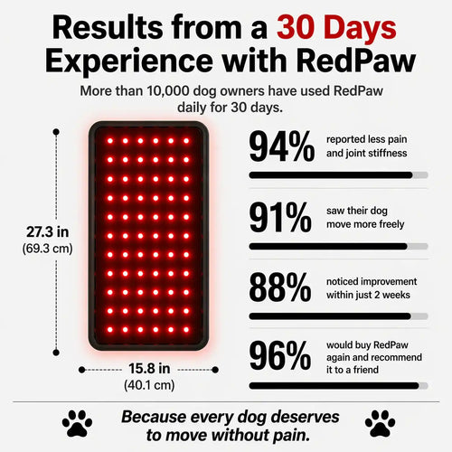 RedPaw Therapy Pad