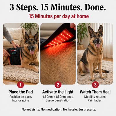 RedPaw Red Light Therapy