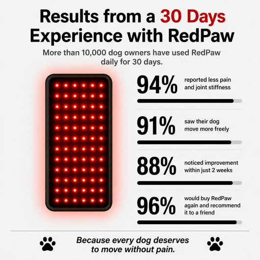 RedPaw Red Light Therapy