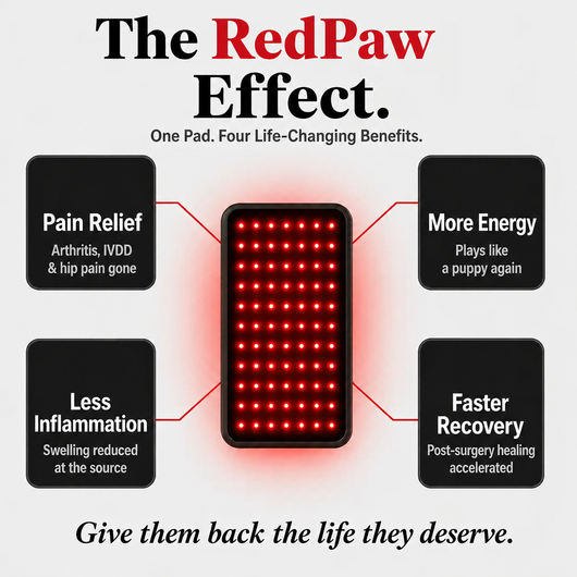 RedPaw Red Light Therapy
